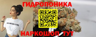 крисы Апшеронск