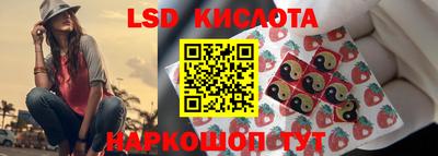 крисы Апшеронск