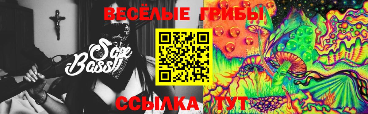 Галлюциногенные грибы мицелий Брянск
